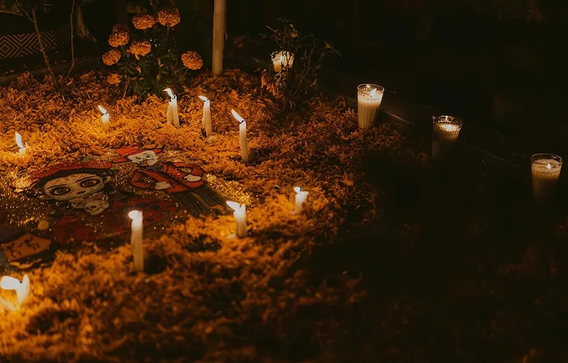 Consejos para una compra informada de cempasúchil